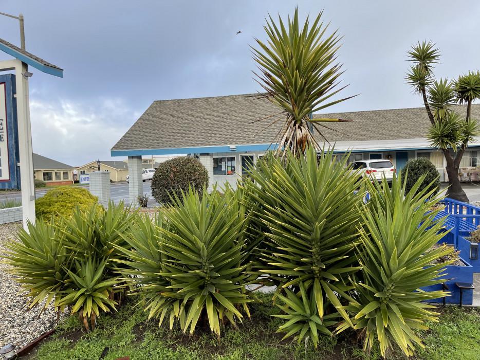 Motel Baymont By Wyndham Bragg Fort Bragg
